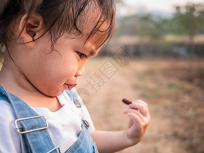 亚洲小孩在花园开始测试新鲜的毛莓球的味道 第一次吃饭 游戏就是向孩子们学习 玩耍可以让孩子学会幸福健康微笑女性家庭童年旅行乐趣女图片