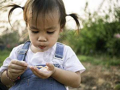 亚洲小女孩在公园里散步 夏天吃着美味的冰淇淋 很可爱的脸蛋女性孩子们微笑乐趣喜悦快乐头发派对食物家庭图片