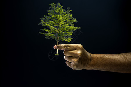 亲手捏手指 因为给一棵树植物幼苗种植成人男人手臂叶子农业盆栽地球图片