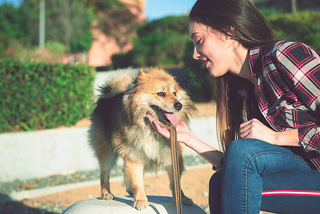 女人在街上摸她的狗友谊自由情绪朋友女性女孩宠物感情犬类小狗图片