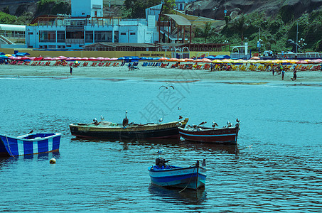 船只 海滩和利马烹饪海鲜海洋食物白色店铺海岸市场香肠盐水图片