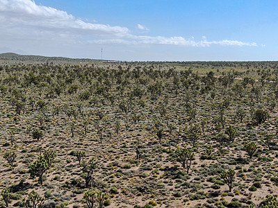 约书亚树国家公园鸟瞰图 美国加利福尼亚州东南部的沙漠国家公园荒野沙漠石头天空植物砂岩环境灰尘地标旅行图片