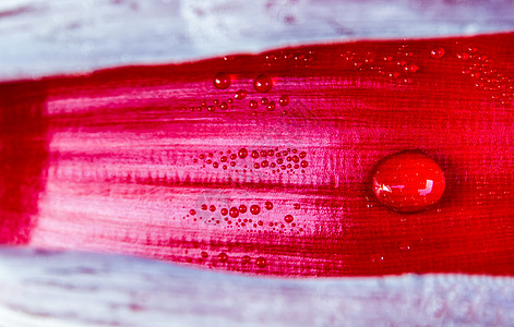 水滴落到银泡花香蕉花中叶子花瓣水果红色宏观紫色热带图片