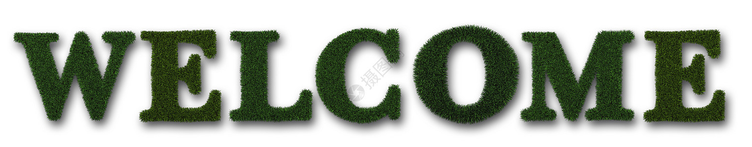 欢迎横幅绿色一个字白色讯息植物图片