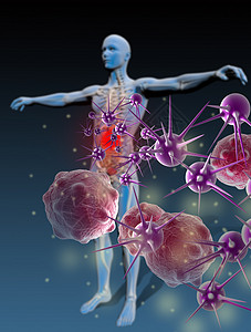 防治疾病豁免组织缩影保健科学人体病原医疗药品细胞微生物免疫图片