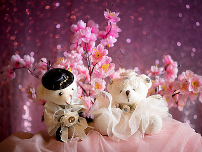 爱的概念 穿着婚纱 情人节贺卡背景的泰迪熊夫妇图片