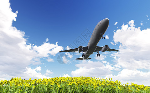 飞过鲜花的空航机航班货物翅膀力量旅行蓝色客机飞机乐趣机身图片
