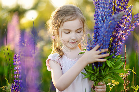 可爱的女孩 在盛开的乳草田草地紫色蓝色孩子喜悦投标快乐童年花朵拥抱图片