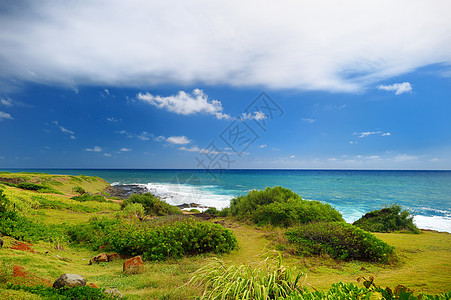 卡瓦伊岛美丽的风景爬山海洋丛林天空步道绿色热带树木海景晴天图片