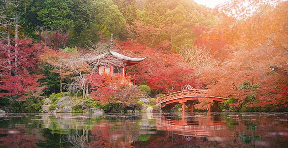 年轻女子穿着喜莫诺 在大地寺庙的木野图片