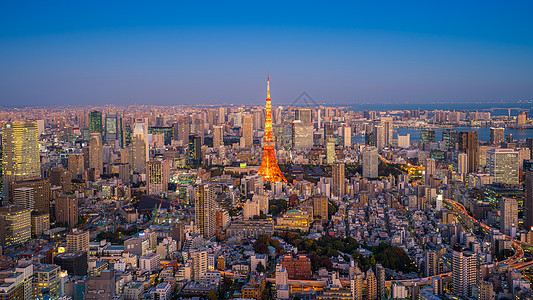 铁塔夜景东京塔 有建筑城 在日本东京背景