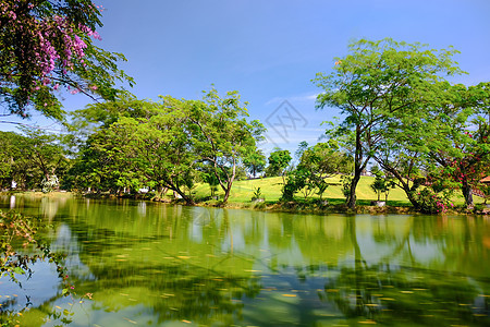 一个有绿草和树木的宁静池塘图片