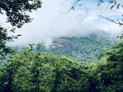 绿色森林的景象和山上多云的天空草地环境旅游雨季山脉热带蓝色全景树木旅行图片