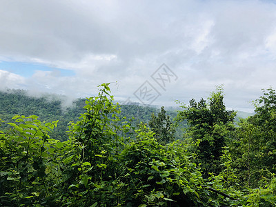 绿色森林的景象和山上多云的天空风景农村爬坡全景目的地树木旅行绿色植物山脉环境图片