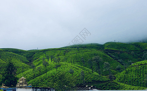 绿山 青云的风景图片