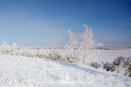 冬季风景 松树雪覆盖季节性小屋木头房子滑雪森林爬坡天空季节白色图片