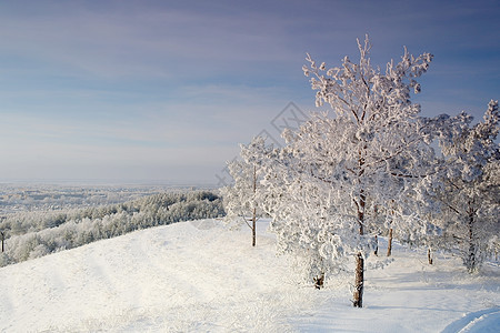 冬季风景 松树雪覆盖场景森林滑雪天空爬坡木头房子季节性白色季节图片