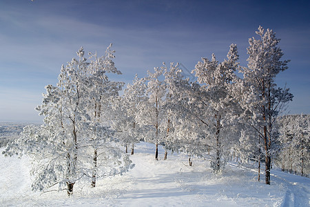 冬季风景季节性蓝色天空木头滑雪树木房子仙境爬坡季节图片