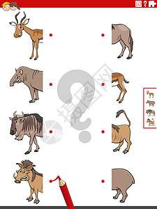 将一半的图片与动物教育任务配对解决方案卡通片闲暇羚羊疣猪插图资产野生动物工作工作簿图片