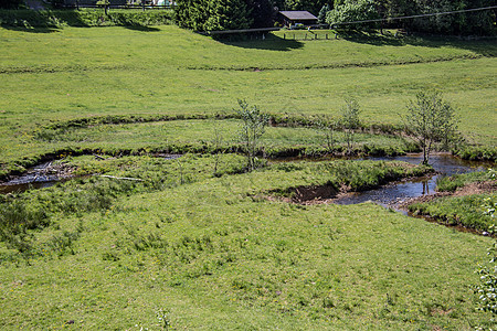 实地的水域绿色安全草地牧场河道溪流镜子河岸图片