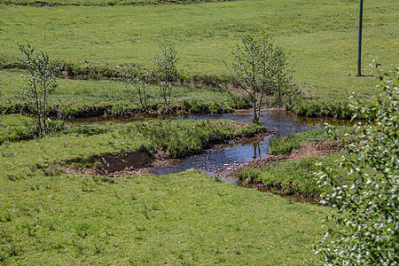 实地的镜子水域绿色牧场河道草地安全溪流河岸图片