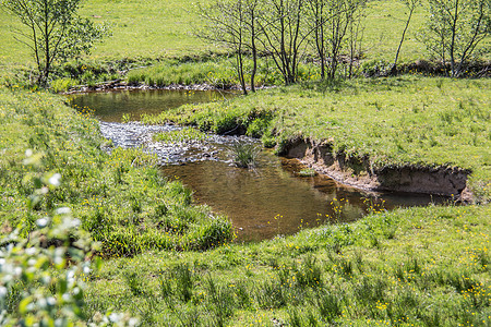 实地的草地绿色安全镜子河道水域牧场河岸溪流图片