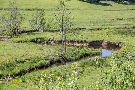实地的水域镜子安全河岸河道牧场草地溪流绿色图片