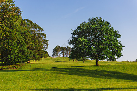 Dallam公园开放的公园园地 在英国坎布里亚市Milnthorpe 阳光明媚的夜晚溪流国家牧场场景绿色农业田园天空树木风景图片