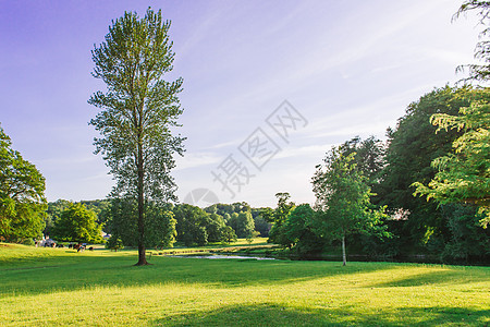 Dallam公园开放的公园园地 在英国坎布里亚市Milnthorpe 阳光明媚的夜晚天空场景晴天田园乡村溪流牧场草地风景国家图片