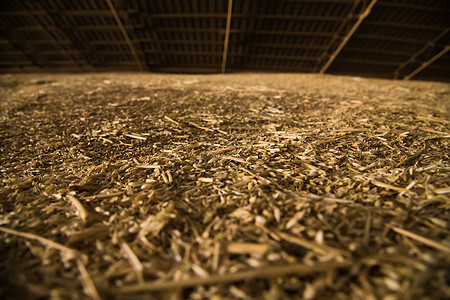 谷物电梯的麦粒堆积如山小麦棕色种子贮存工业仓库收成粮食商业食物图片