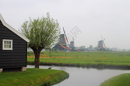 荷兰的观点绿色建筑学农村房子旅游历史性风车地标天空村庄图片