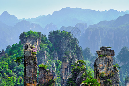 中国张家江山风景砂岩游客国家地标柱子岩石森林旅行天空图片