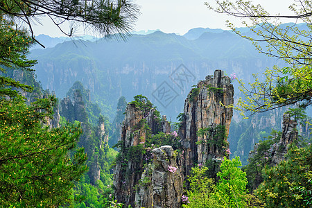 中国张家江山岩石地标风景化身悬崖山脉石头绿色吸引力森林图片