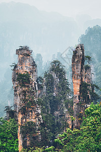 中国张家江山旅行薄雾遗产天气石头吸引力游客植物风景山脉图片