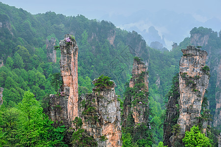 中国张家江山悬崖天气石头风景公园旅游旅行地标植物森林图片