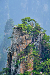 中国张家江山天空风景森林游客国家砂岩吸引力公园化身山脉图片