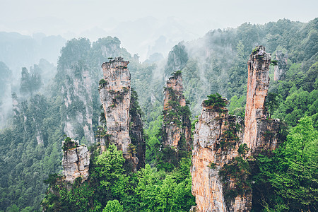 中国张家江山植物爬坡旅游遗产游客公园岩石石头旅行薄雾图片