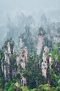中国张家江山爬坡植物地标天气岩石森林花朵旅行旅游风景图片