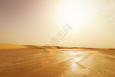撒哈拉沙漠沙丘Tato的水景观景点太阳目的地沙丘全景干旱孤独阳光野生动物横梁地平线图片