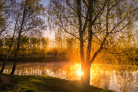 在池塘附近的小树叶中 太阳升起或日落荒野射线光束桦木镜子薄雾风景墙纸反射倒影图片