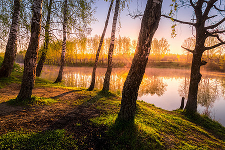 在池塘附近的小树叶中 太阳升起或日落树林阴霾阳光镜子荒野光束叶子倒影反射风景图片