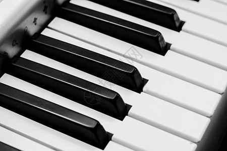 钢琴键盘黑白相片 忧郁的旋律乐队钥匙闲暇娱乐协奏曲爵士乐音乐会流行音乐居住工作室图片