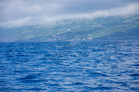 在亚速尔群岛上行走 发现皮科岛 亚速尔群岛和马达莱纳岛鲸目火山土地植被喷气荒野旅行鸭子海洋池塘图片