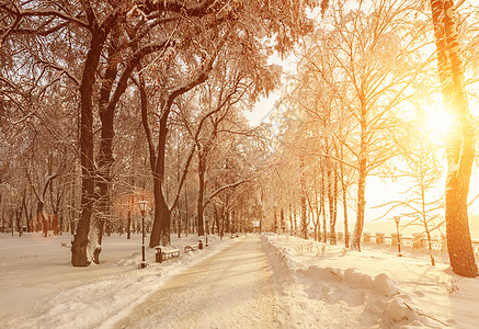 冬季公园的树木被雪覆盖晴天阳光天气蓝色日落长椅季节小路场景人行道图片