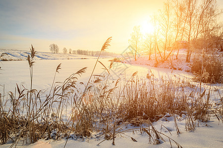 冬天的日落场阳光木头场景冻结日落环境池塘日出蓝色公园图片