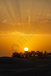 撒哈拉沙漠附近美丽的夕阳落日落图片