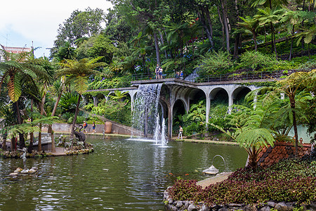 蒙特雅宫热带花园风景异国宝塔叶子花园植物地标房子建筑热带图片