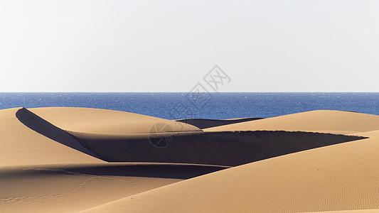美丽的沙丘一直延伸到大海图片