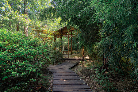 古老的竹屋和路 在中国苏州花园树木森林旅行荒野木头风景国家传统公园历史性图片