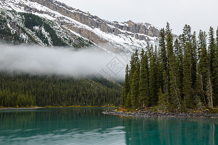 加拿大艾伯塔Maligne湖的雾水和绿绿绿水图片